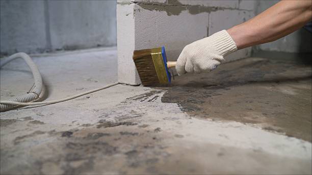 SJ Waterproofing Pros Waterproofing coverage map for Newcomb, TN and surrounding area